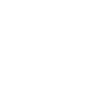 Northern Lights logo