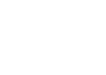 The Green Zone logo